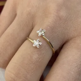 ANEL FALANGE 2 ESTRAS ZIRCONIA