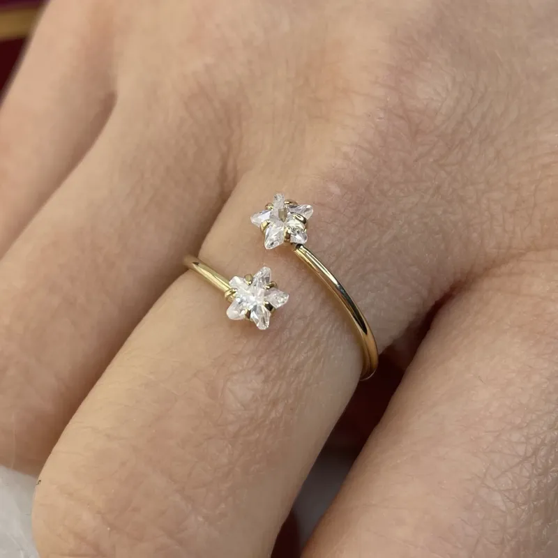 ANEL FALANGE 2 ESTRAS ZIRCONIA