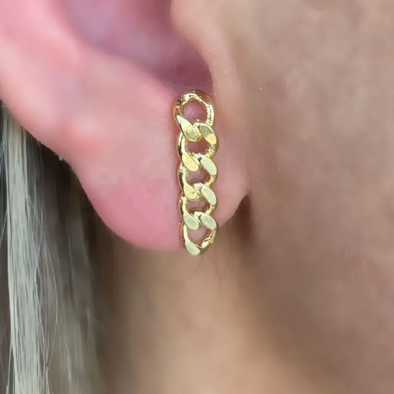 BRINCO EAAR HOOK